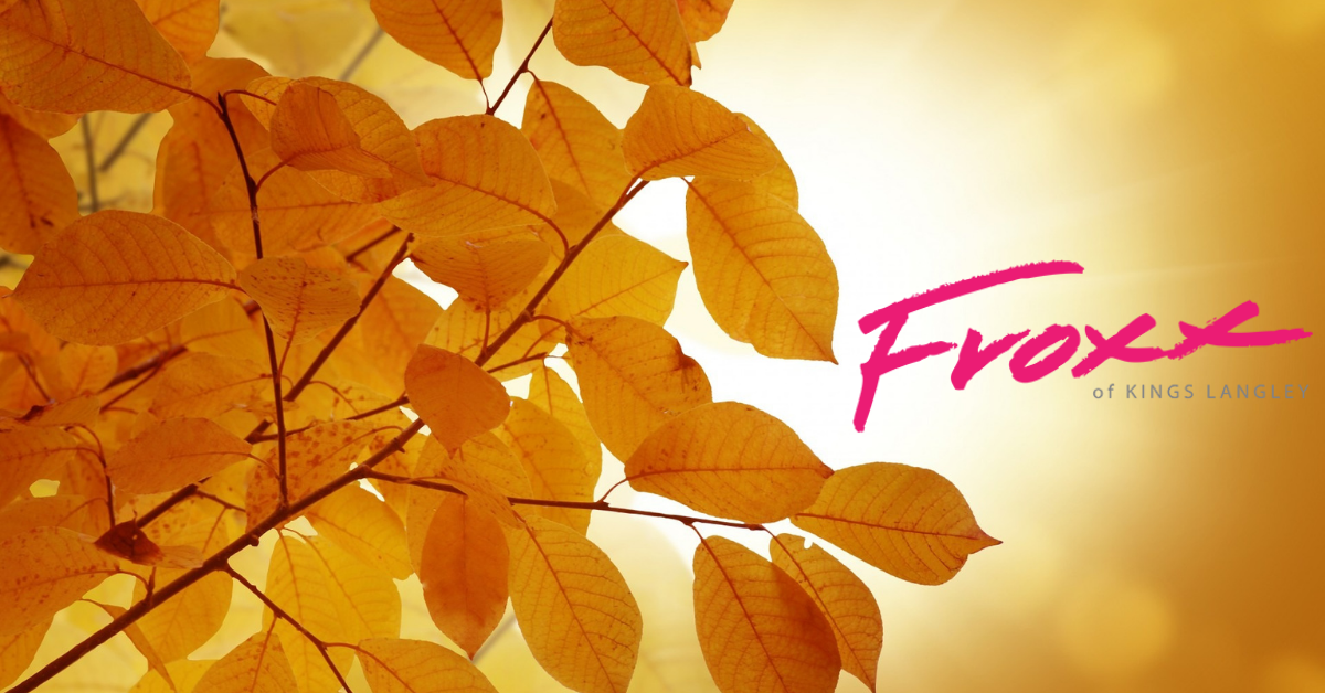 2020 Plus-Sized Outfit Ideas for Autumn