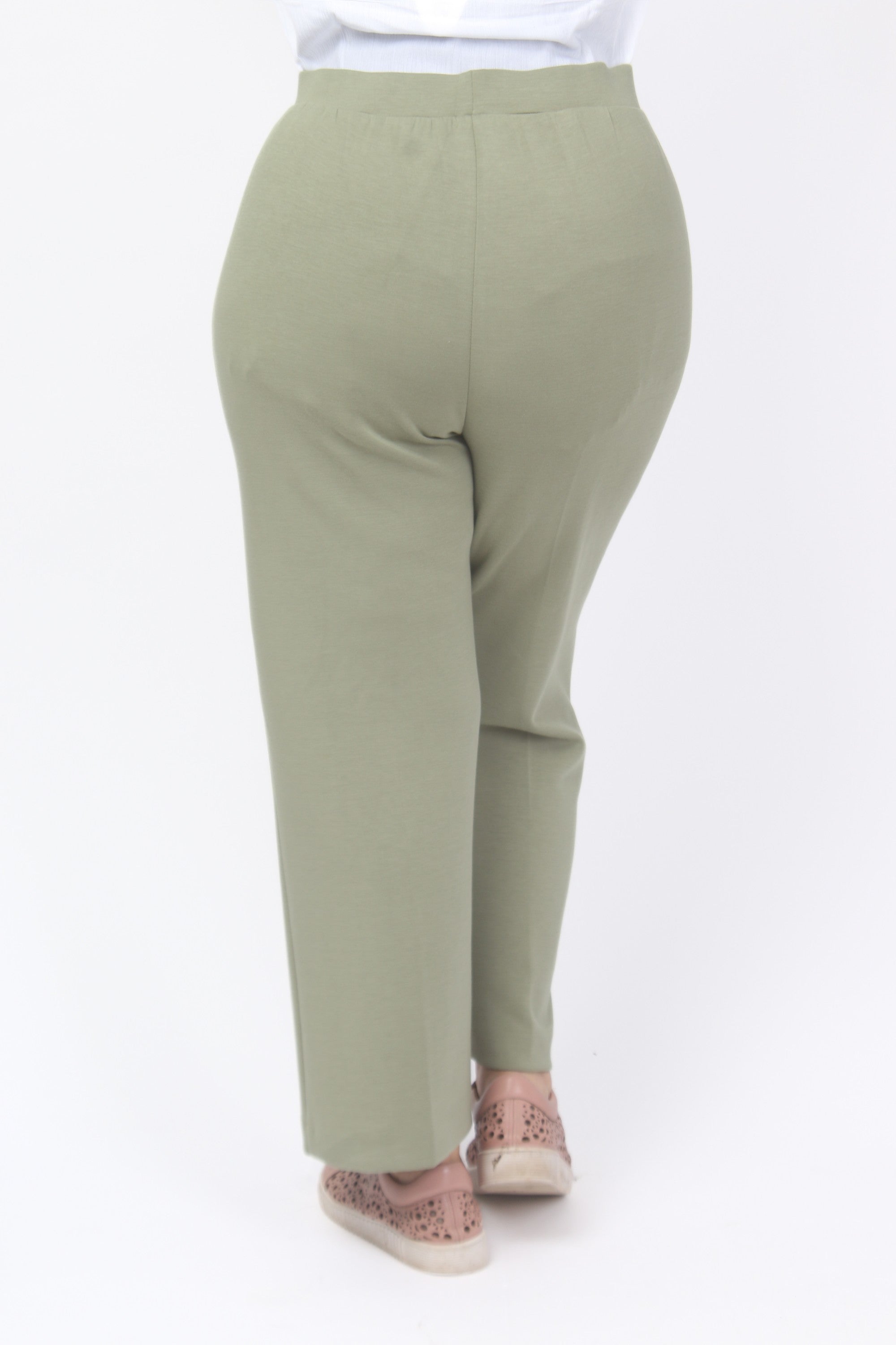 Via Appia leisure crops - Olive